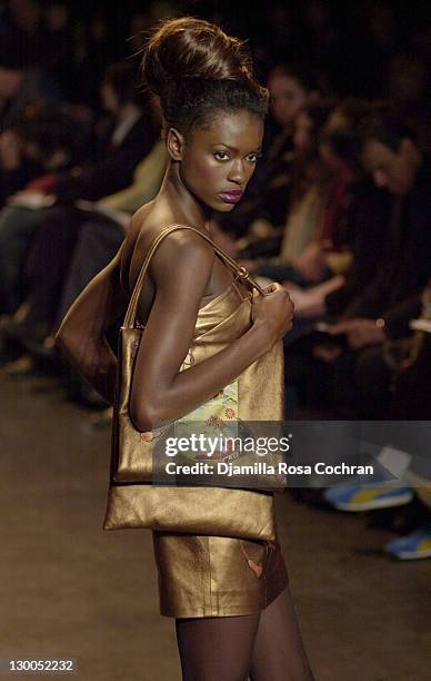 Zang Toi 2003 Fall Fashion during Mercedes-Benz Fashion Week Fall 2003 Collections - Zang Toi - Runway at Bryant Park in New York City, New York,...