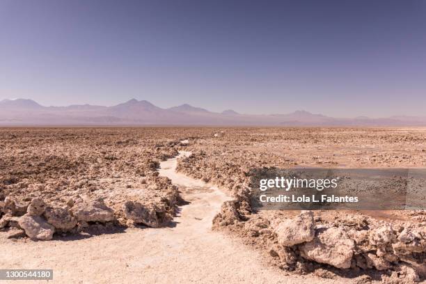 a dirt road across the salar de atacama, chile - atacama stock-fotos und bilder