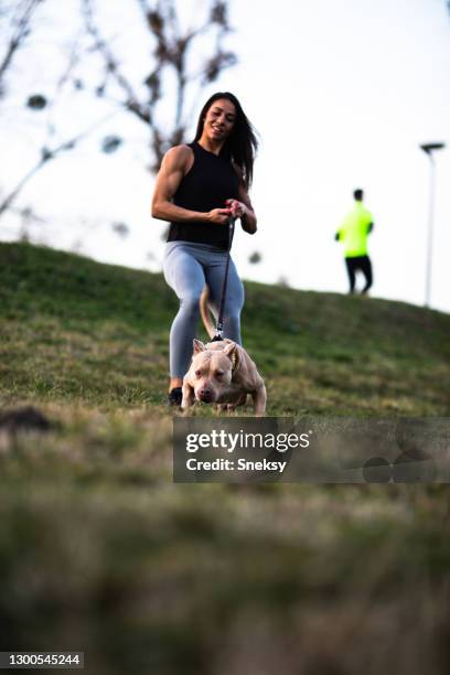 young woman holding her stafford tightly on a leash. sunny day in park. - stafford terrier stock pictures, royalty-free photos & images