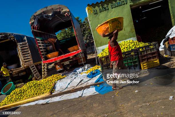An Afro-Colombian worker carries a basket loaded with green oranges in an open-air fruit market on December 9, 2018 in Barranquilla, Colombia.