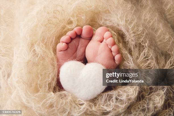 newborn feet - newborn feet stock pictures, royalty-free photos & images