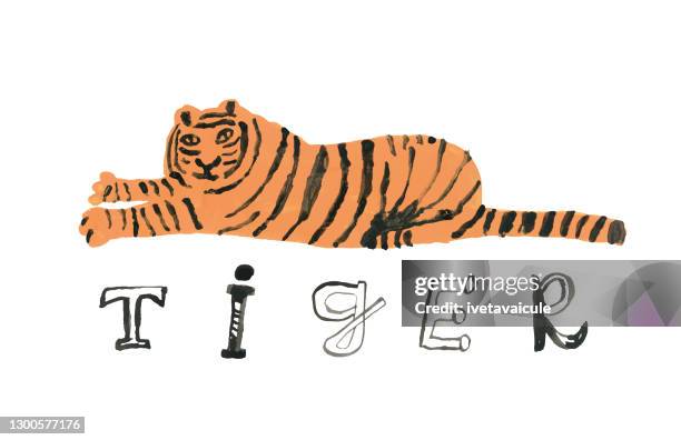 tiger legt sich hin - lying down stock-grafiken, -clipart, -cartoons und -symbole