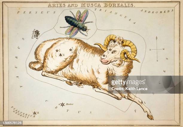 aries, the first sign of the zodiac - ram stock illustrations