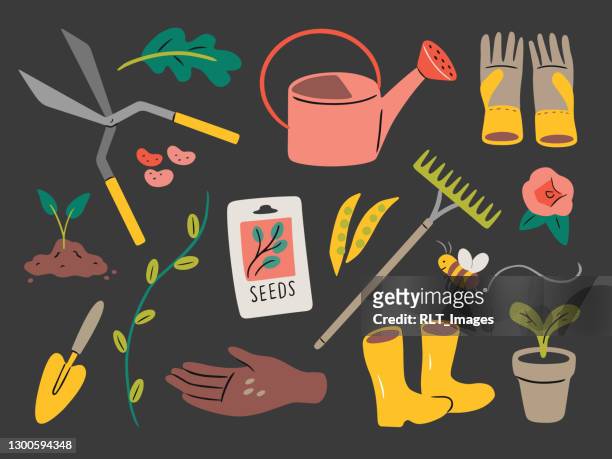 illustration of gardening elements — hand-drawn vector elements - watering can stock illustrations