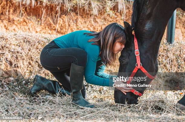 beauty woman next to her horse's head - cavalls stock pictures, royalty-free photos & images