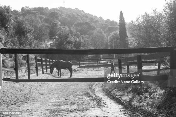 cute woman walkint through the stables where her horse is - cavalls stock pictures, royalty-free photos & images