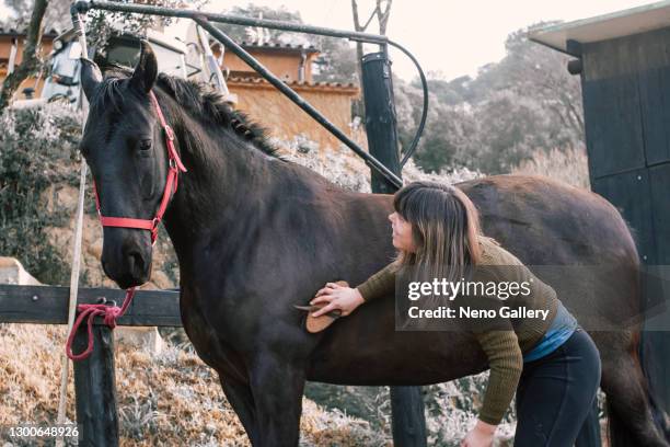 happy woman brushing her horse - cavalls stock pictures, royalty-free photos & images