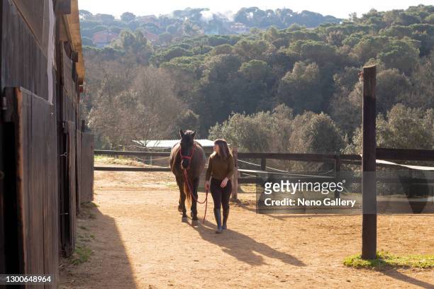 pretty girl walking with her horse - cavalls stock pictures, royalty-free photos & images