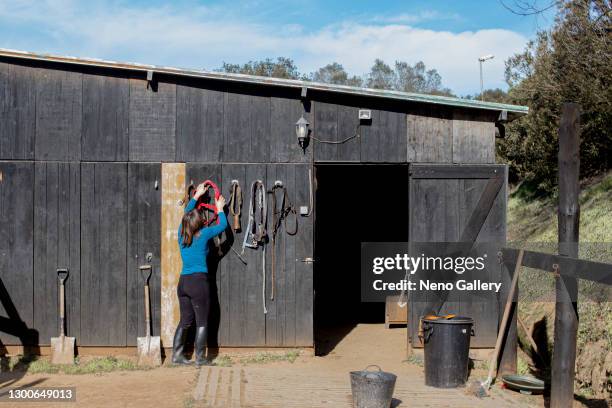 young woman putting away supplies after horseback riding - cavalls stock pictures, royalty-free photos & images