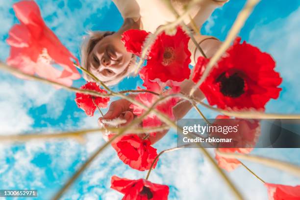 portrait of a joyful girl picking up a red poppy flower from a bright flowerbed against the background of the blue sky - kid looking up to the sky imagens e fotografias de stock