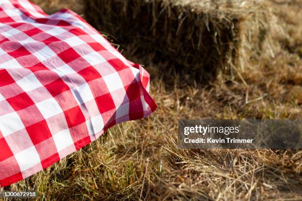 checkered blanket on bail of hay bails - checkered table cloth stock pictures, royalty-free photos & images