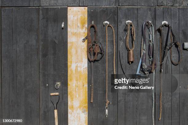 stable wall with hanging tools - cavalls stock pictures, royalty-free photos & images
