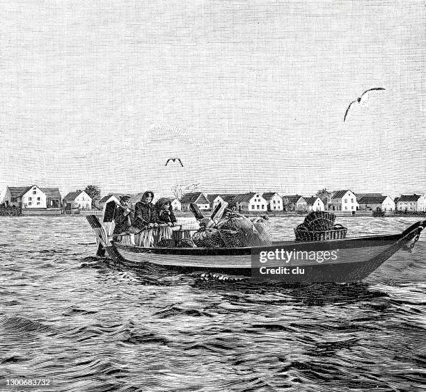 gull egg harvest in kunitz, boat with equipment on its way - senior water women stock illustrations