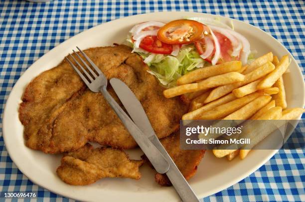 plate of beef milanesa/cotoletta/schnitzel with side salad and fries - schnitzel stock pictures, royalty-free photos & images