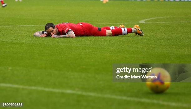 Newcastle United v Southampton - Premier League, News Photo
