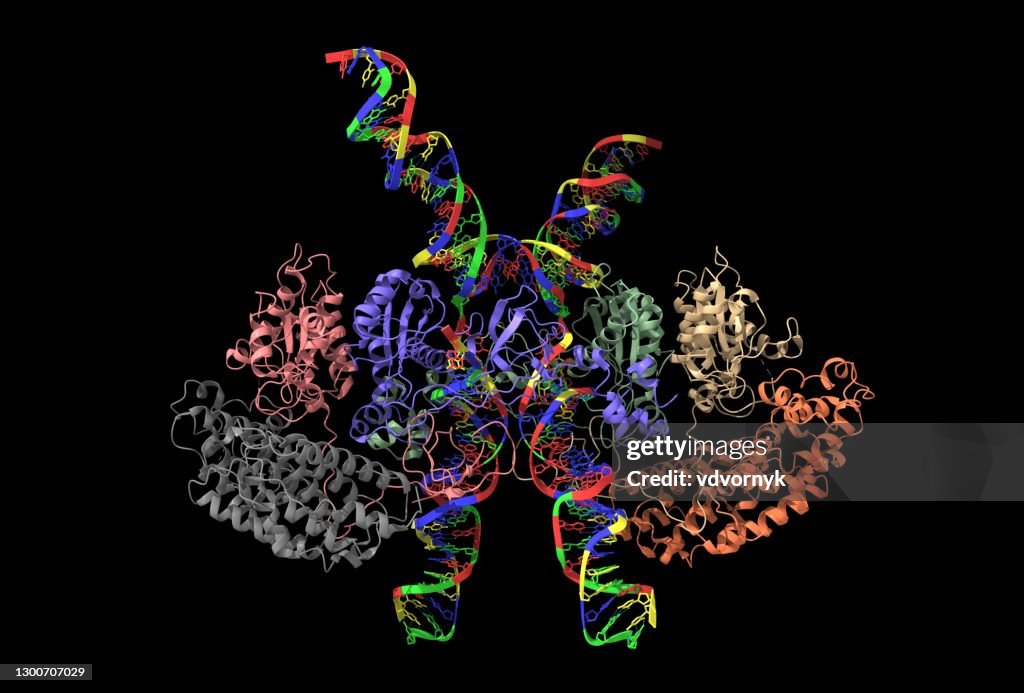 Cryo-EM structure of human T-cell leukemia virus type-1 (HTLV-1) intasome