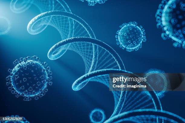 adn humano y coronavirus - salmonelosis fotografías e imágenes de stock