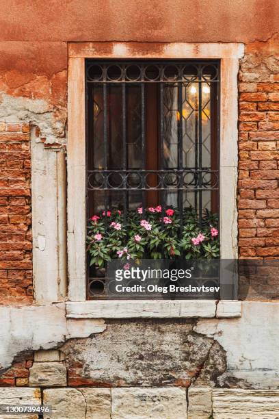 cozy decoration of old house with outside natural flowers in pots on window - shabby chic stockfoto's en -beelden