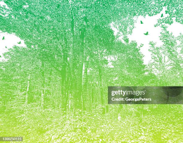 forest with ravens and lush foliage. - pen and ink stock illustrations