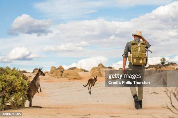 junger mann zu fuß in trockenen wüstenlandschaft mit foto-rucksack auf einem abenteuer im outback australien - australisches buschland stock-fotos und bilder