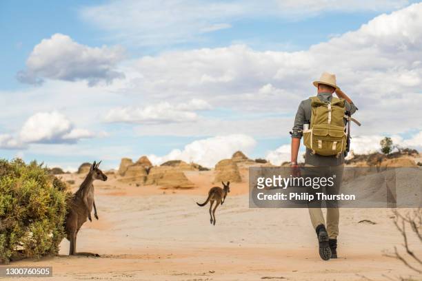 young man walking in arid desert landscape with photography backpack on an adventure in outback australia - australia stock pictures, royalty-free photos & images
