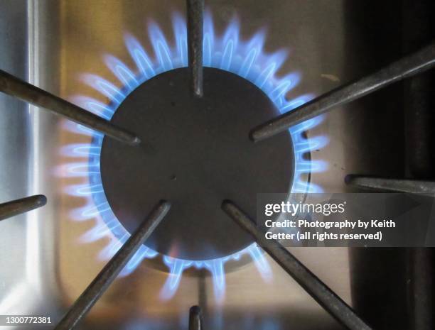close-up natural gas stove burner with blue flame - gas stove burner stock pictures, royalty-free photos & images
