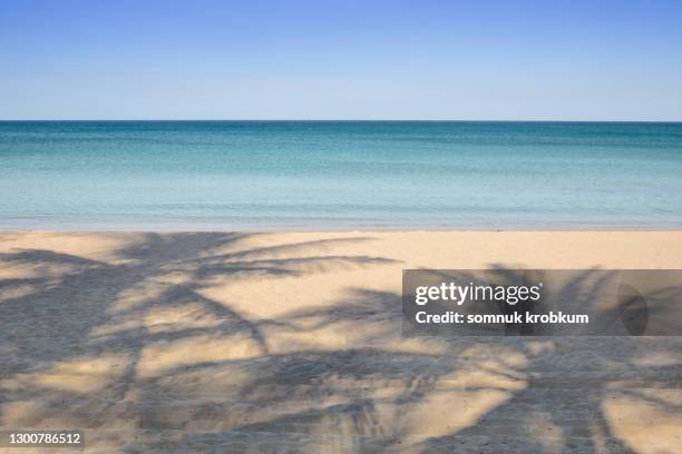 coconut palm tree shadow on clean sea beach - palm shadow stock pictures, royalty-free photos & images