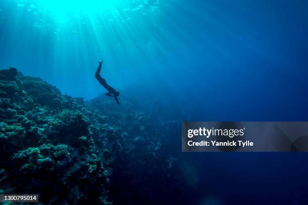 freediver in dahab's blue hole - snorkling red sea stock pictures, royalty-free photos & images