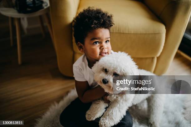 my cute little puppy - child holding toy dog stock pictures, royalty-free photos & images