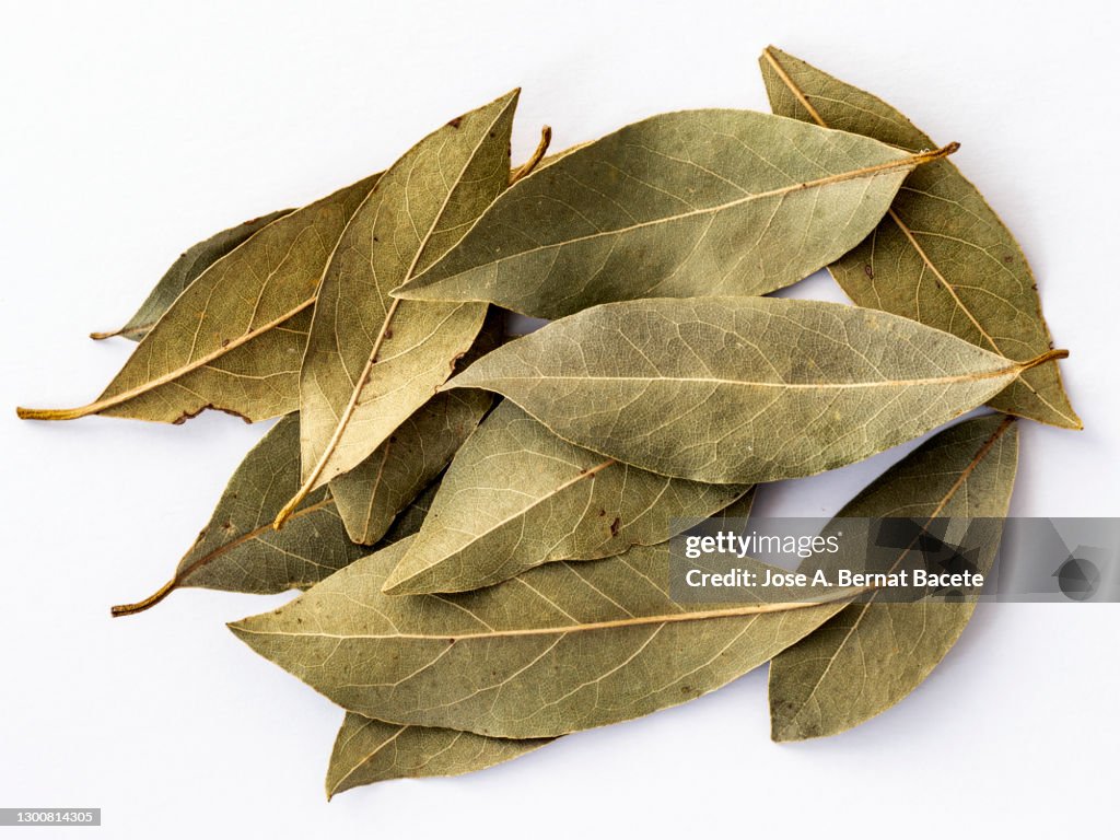 Close-up of dried bay leave for cooking on a white background.