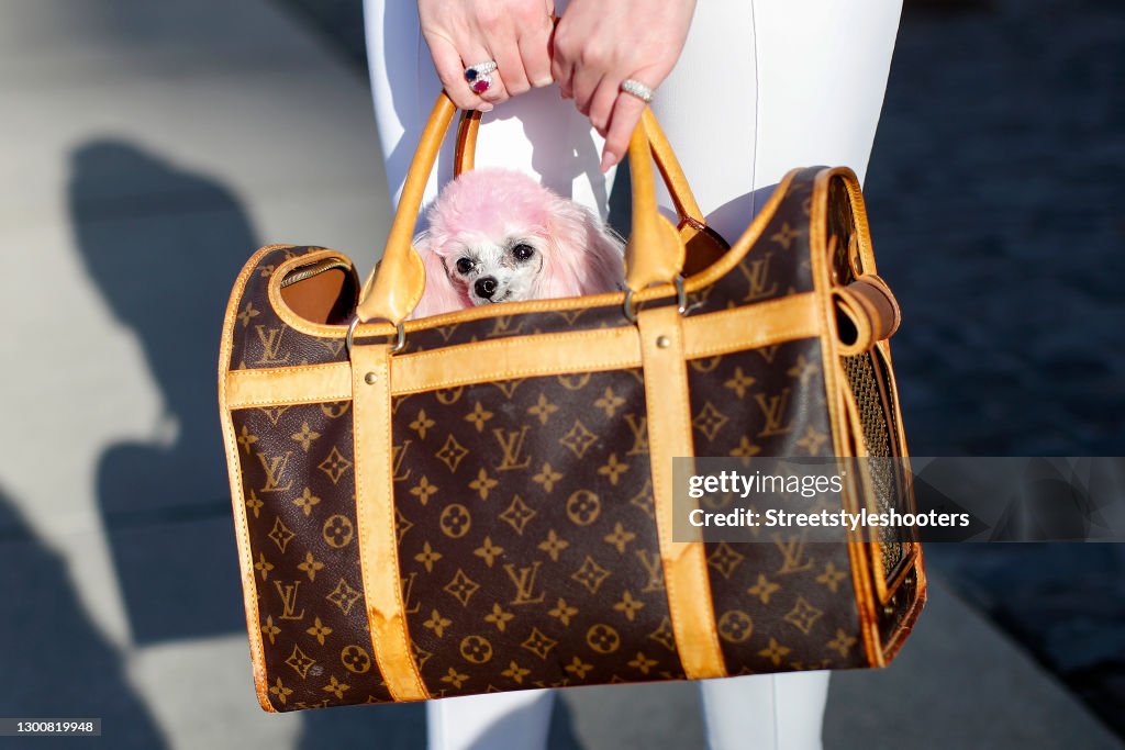 A dark and light brown pet carrier bag by Louis Vuitton with Ira's