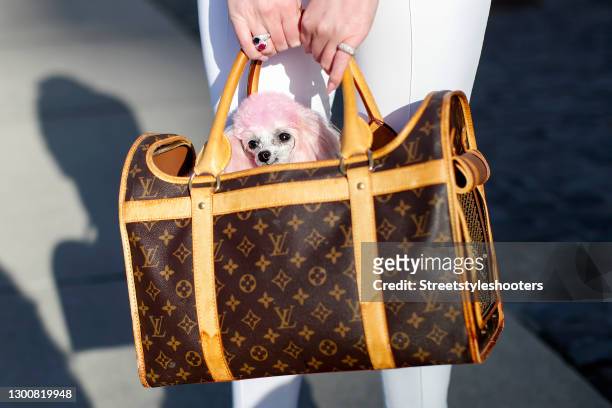52,214 Louis Vuitton Purse Stock Photos, High-Res Pictures, and Images -  Getty Images