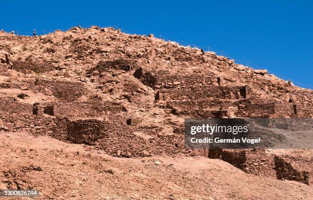 60 Quitor Stock Photos, High-Res Pictures, and Images - Getty Images