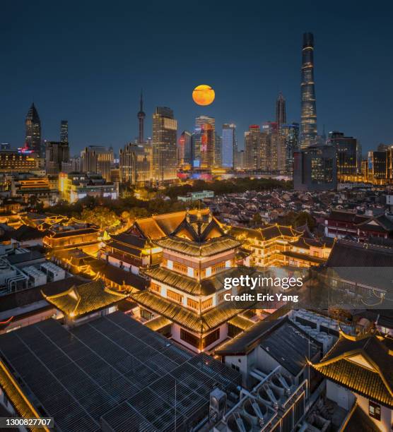 shanghai yu garden before the spring festival - schanghai stock-fotos und bilder