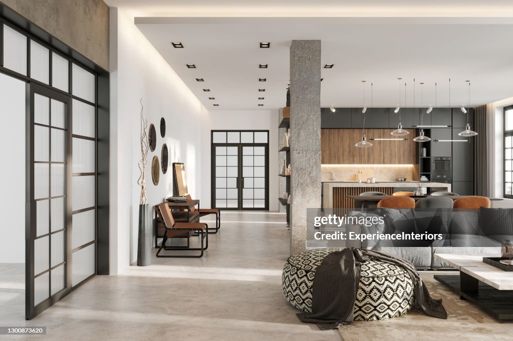 Modern loft apartment interior