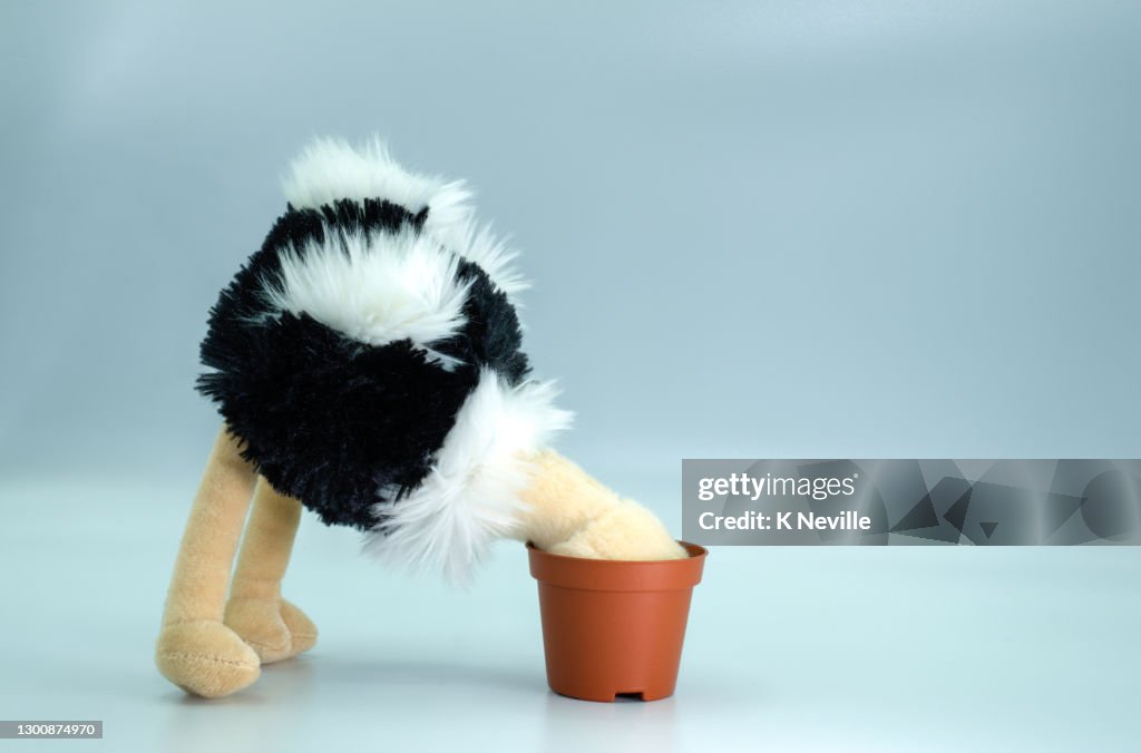 Burying your head in the sand