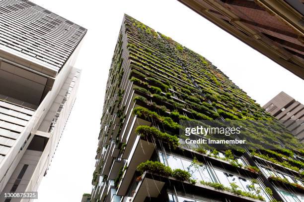 low angle view of appartment building with vertical garden, background with copy space - eco house stock pictures, royalty-free photos & images