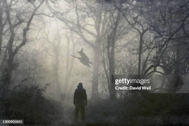 a man looking at a witch flying on a broomstick on a spooky winters day in a forest. with a grunge, artistic edit. - witch flying on broom stock pictures, royalty-free photos & images