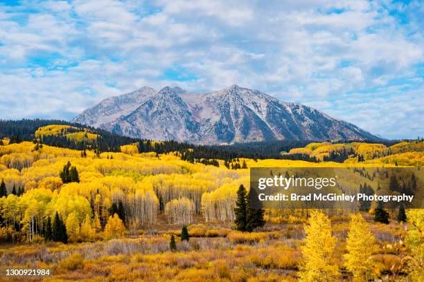 cloudy sky over mountain and aspen forest in autumn - choupo tremedor imagens e fotografias de stock