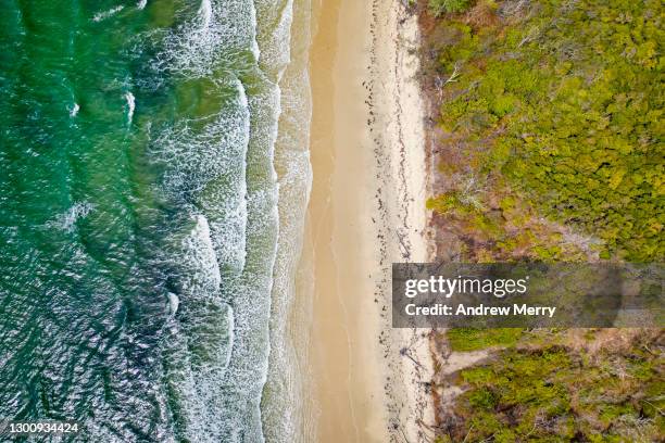 sea, waves, surf, beach, sand, and forest, aerial view - australian saltwater crocodile stock pictures, royalty-free photos & images