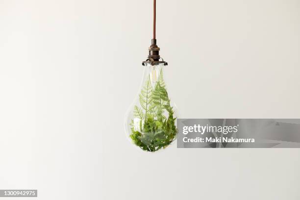 a photo of plants in a light bulb. figurative visuals of green power, renewable energy and environmental protection. - cristal material fotografías e imágenes de stock