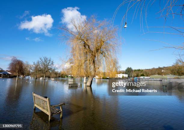 henley-on-thames park in flood - henley on thames stock pictures, royalty-free photos & images