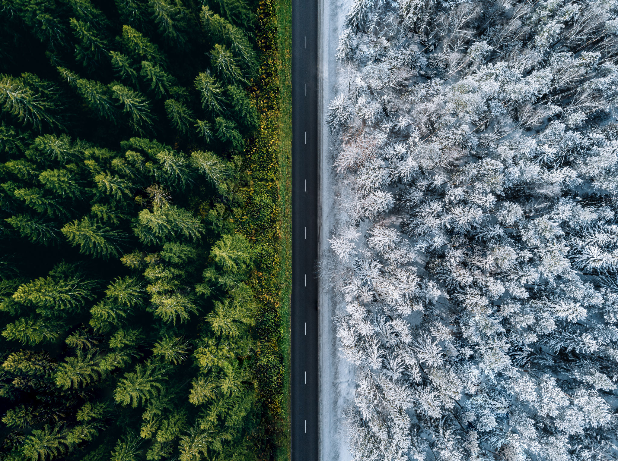winter road drone