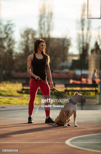 young woman took her stafford outside, at ball park. - stafford terrier stock pictures, royalty-free photos & images