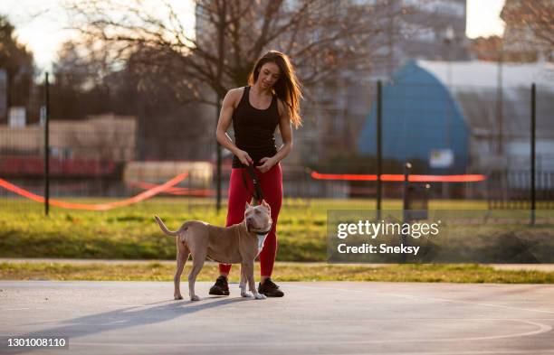 young brunette is enjoying in par on a sunny day with her stafford on a leash. - stafford terrier stock pictures, royalty-free photos & images