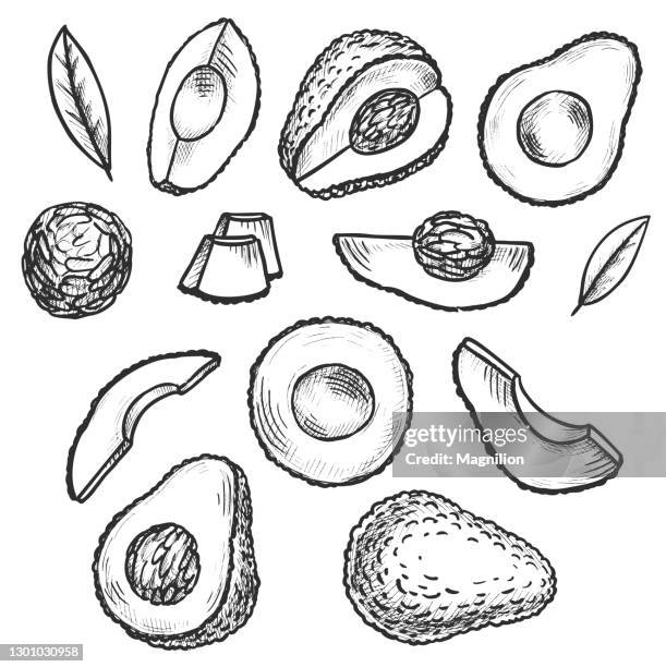 avocado doodles set - gravure stock-grafiken, -clipart, -cartoons und -symbole