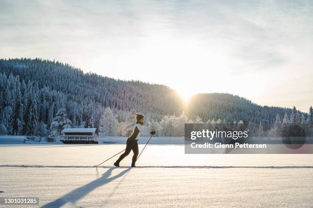 woman cross-county skiing in norway - january background stock pictures, royalty-free photos & images