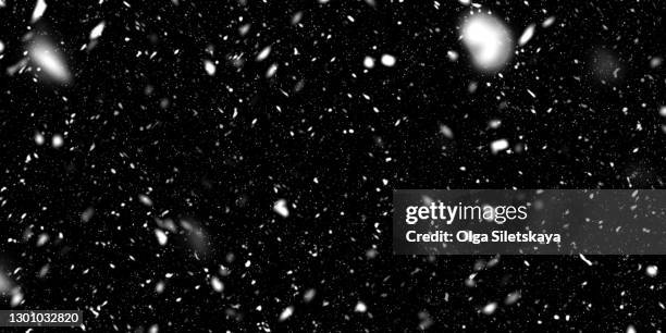 beautifully falling snow on a black background - nevicata foto e immagini stock