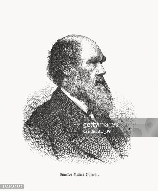 ilustraciones, imágenes clip art, dibujos animados e iconos de stock de charles darwin (1809-1882), científico natural británico, grabado en madera, publicado en 1893 - darwin