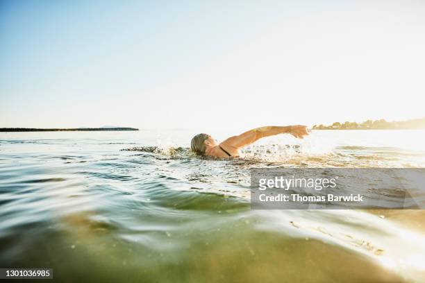 senior woman swimming in bay on summer evening - natación fotografías e imágenes de stock